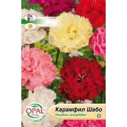 Карамфил шабо микс