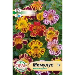 Мимулус микс