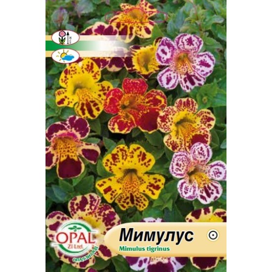 Мимулус микс