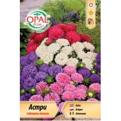 Астри мини микс