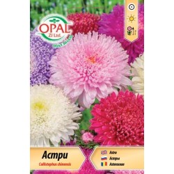 Астри принцеса микс