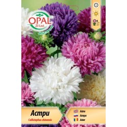 Астри Щраусово перо микс