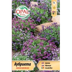 Аубриета микс