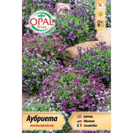 Аубриета микс