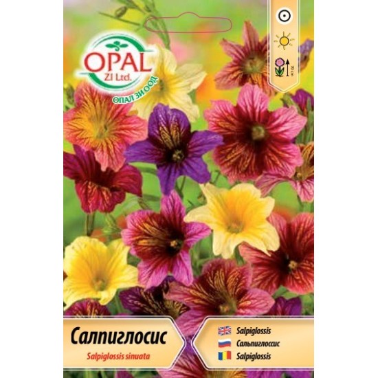 Салпиглосис