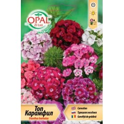 Карамфил Топ микс