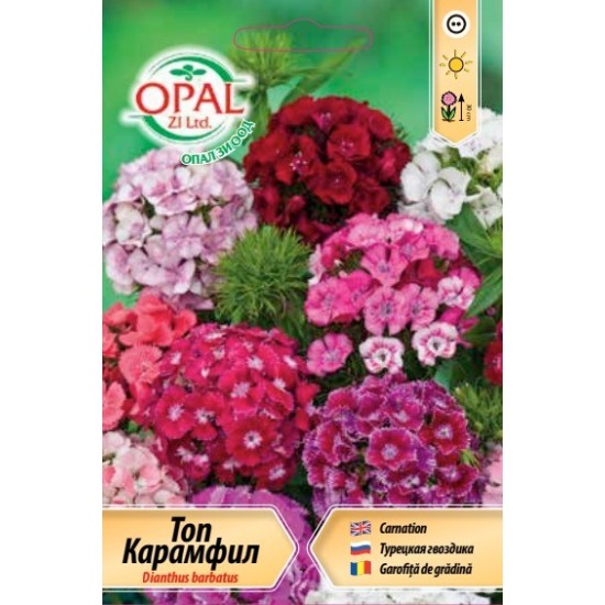 Карамфил Топ микс