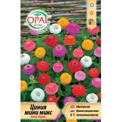 Циния мини микс