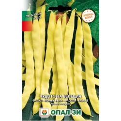 Фасул Чудото на Венеция /увивен/