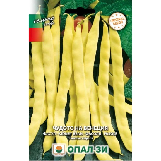 Фасул Чудото на Венеция /увивен/