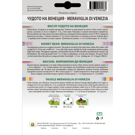 Фасул Чудото на Венеция /увивен/