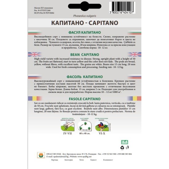 Фасул Капитано /нисък/