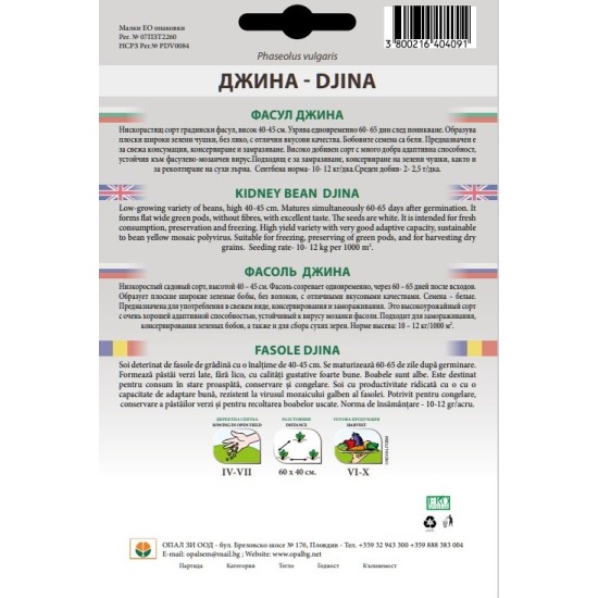 Фасул Джина /нисък/