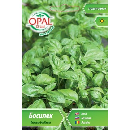 Босилек едър