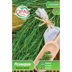 Розмарин