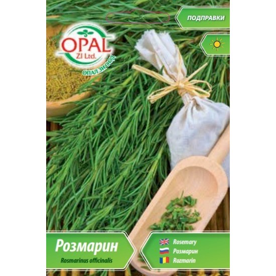 Розмарин