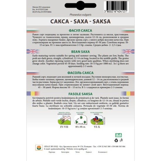 Фасул Сакса /нисък, цилиндричен/