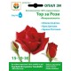 Тор за рози /15-10-30/ + микроелементи