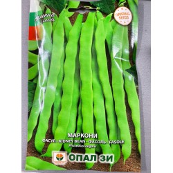 Фасул Маркони /увивен/