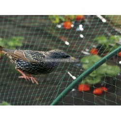 Мрежа срещу птици