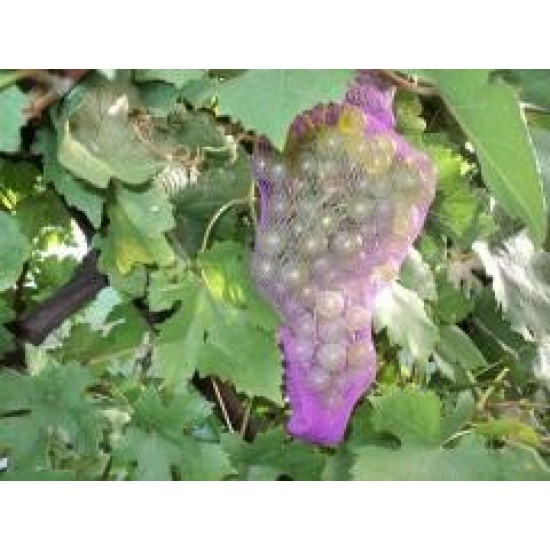 Мрежа за защита от оси