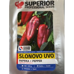 Пипер Слоново ухо