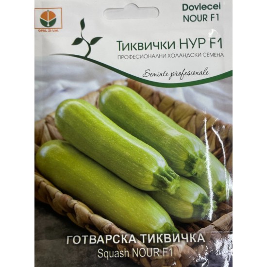 Тиквички Нур F1 Nour F1