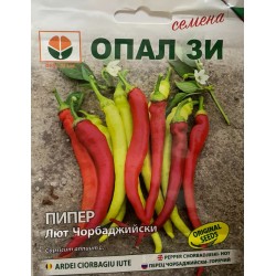 Пипер Чорбаджийски ЛЮТ