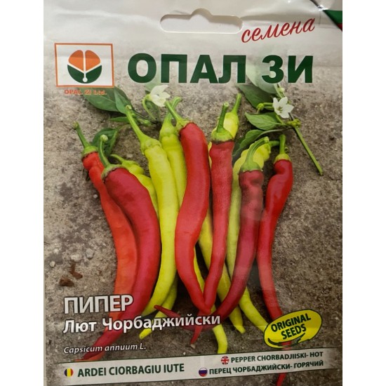 Пипер Чорбаджийски ЛЮТ