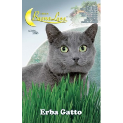 Котешка трева