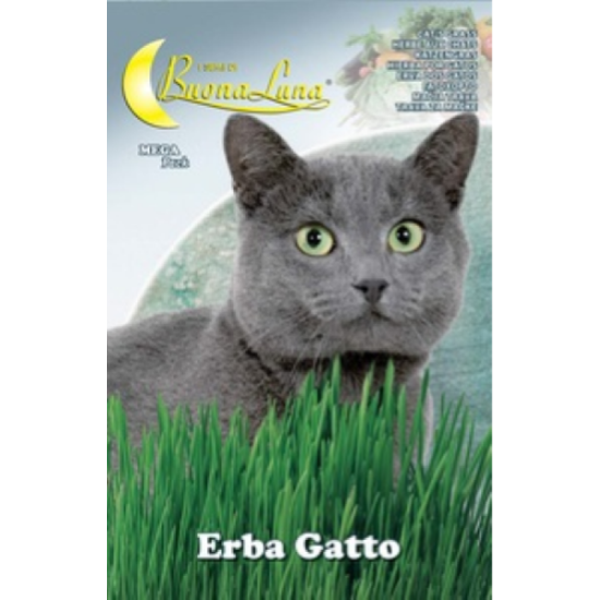 Котешка трева