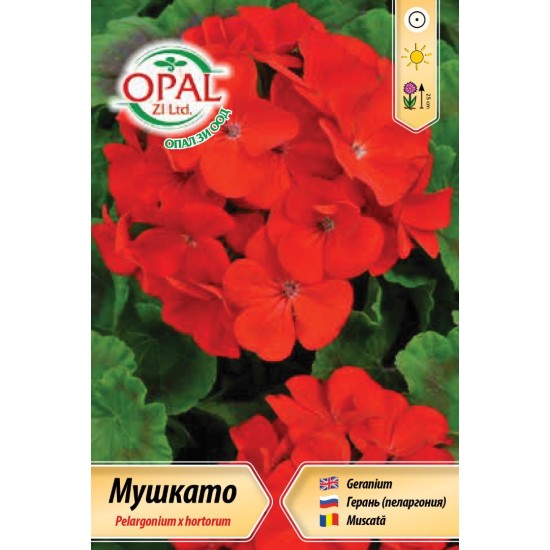 Мушкато /Червено/