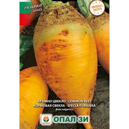 Кръмно цвекло жълто