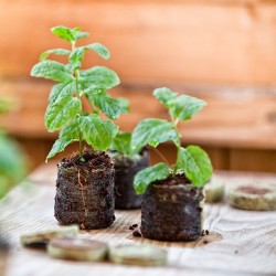 Дехидратирани шайби от кокосови влакна 50 бр