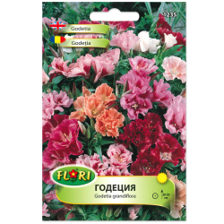 Годеция микс Flori