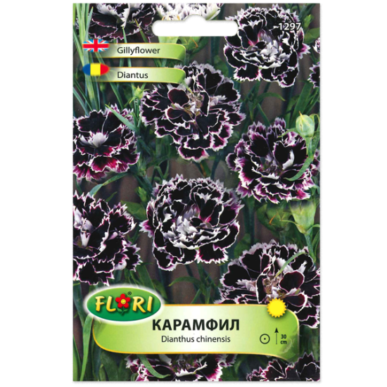 Карамфил черно с бяло