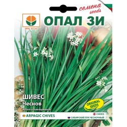 Шивес /чеснов/