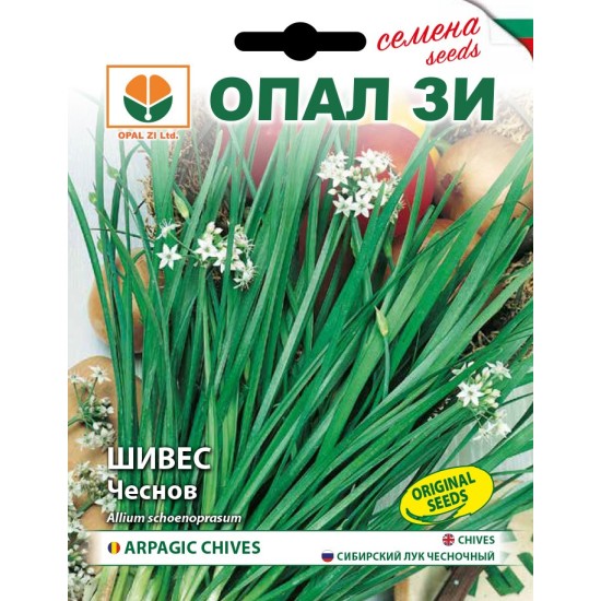 Шивес /чеснов/