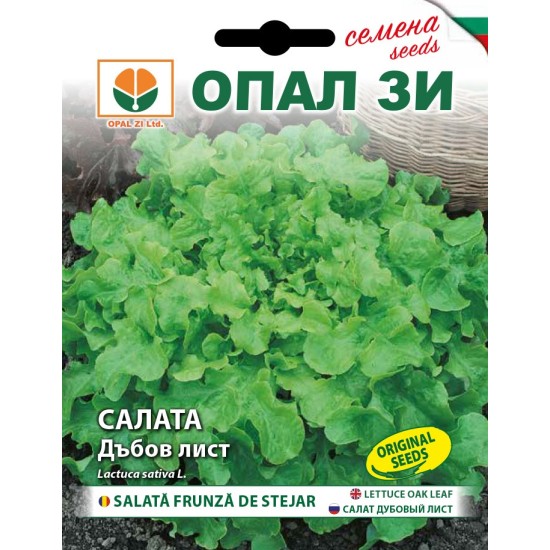 Салата дъбов лист