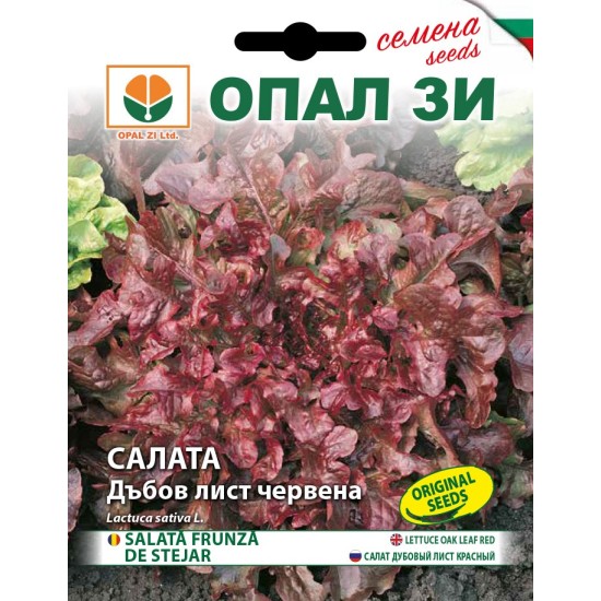 Салата Дъбов лист червена