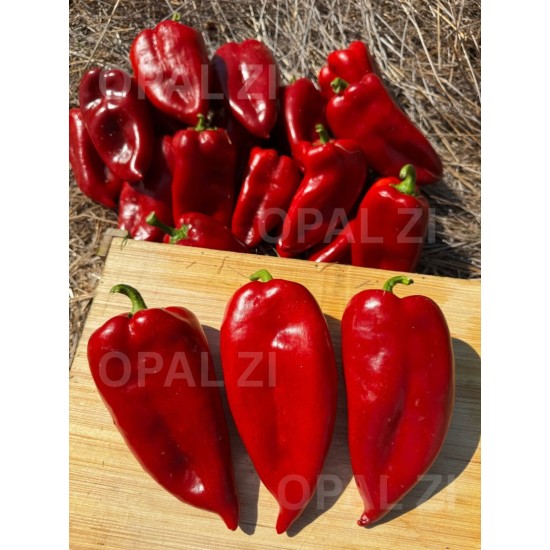 Пипер Меча лапа