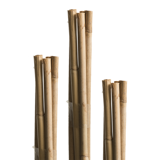 Бамбукови колове за растения 