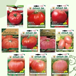 Специална селекция Български червени и розови домати