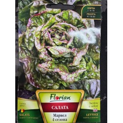 Салата Марвел 4 сезона