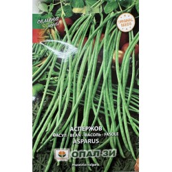 Фасул Аспержов  /зелен, цилиндричен, увивен/