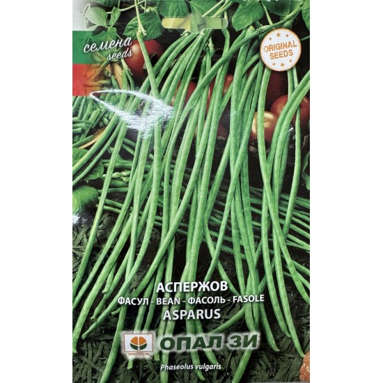 Фасул Аспержов  /зелен, цилиндричен, увивен/