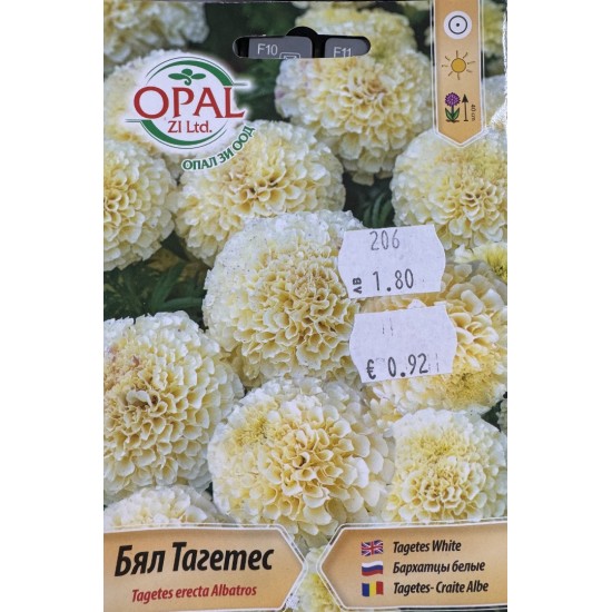 Тагетес бял