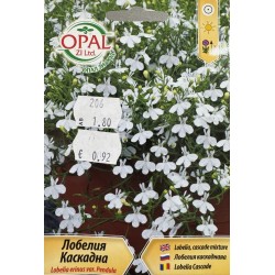 Лобелия каскадна