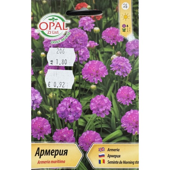 Армерия