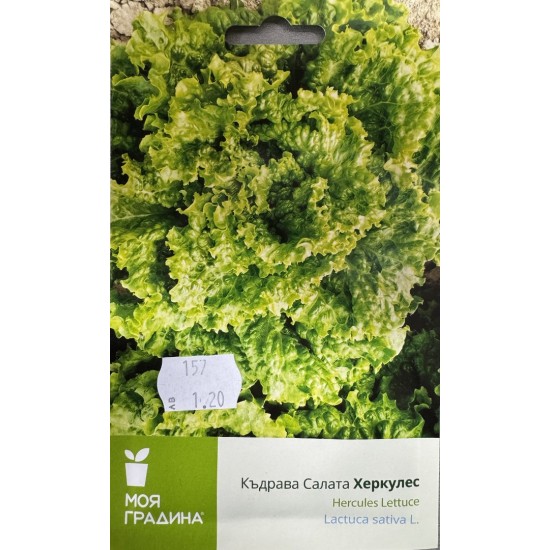 Салата Херкулес